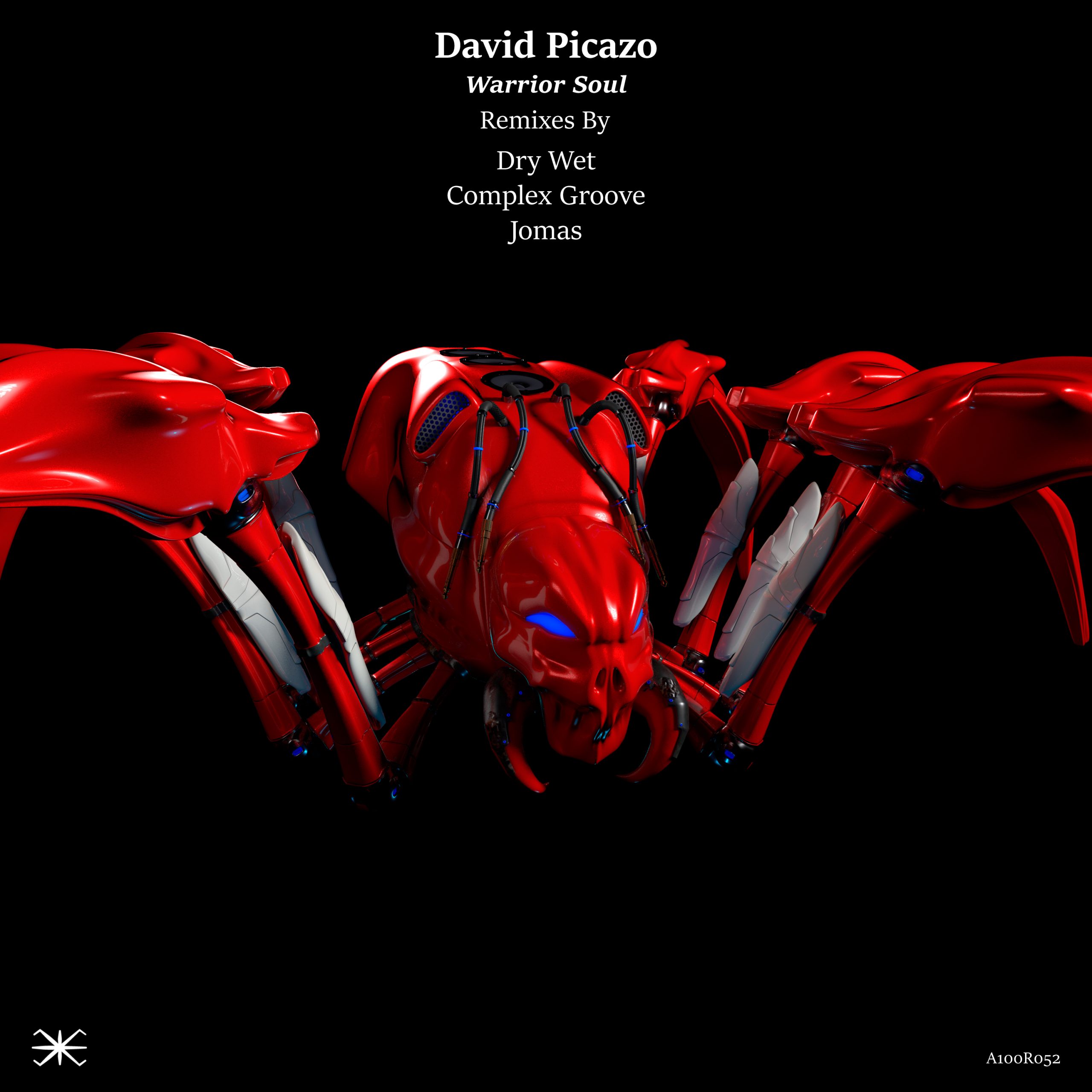 David Picazo – Warrior (Dry Wet Remix)